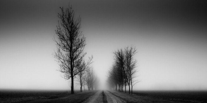 1920x1200 70+ Black and White Nature Wallpapers - Download at WallpaperBro