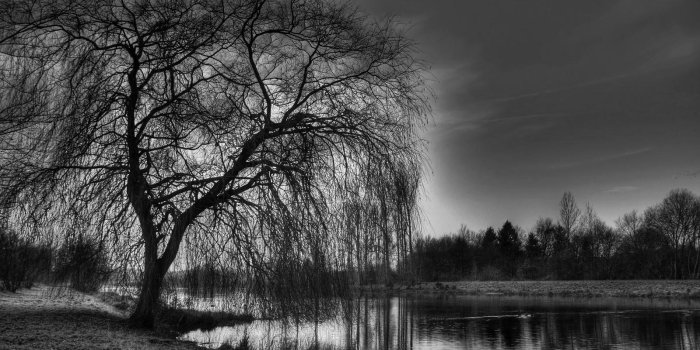 1600x900 Black Nature Wallpapers