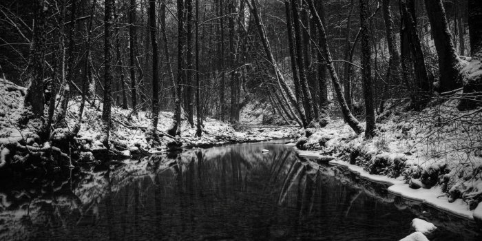 1920x1080 Black White Monochrome Nature Wallpaper [1920x1080]