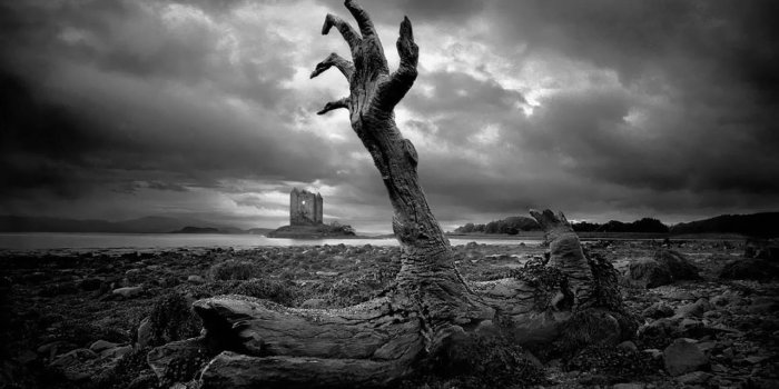 1800x1012 74+] Black And White Nature Wallpaper on WallpaperSafari