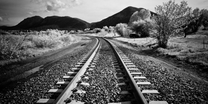 1920x1200 Black White Nature Wallpaper #6981943