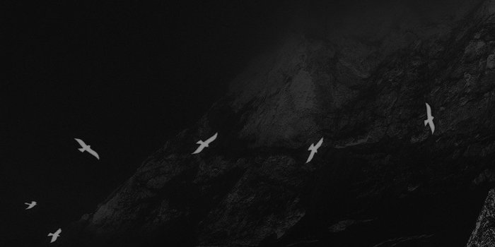 1242x2208 iPhone7papers - mo76-winter-mountain-bird-rene-reichelt-black-nature