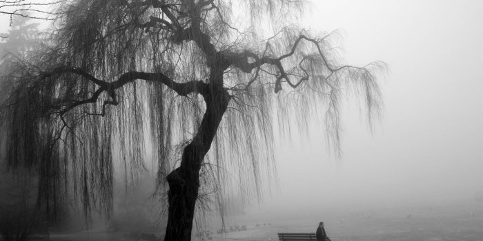 1920x1080 Nature Black and White HD Wallpaper - Wallpaper Stream
