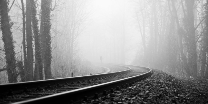 2560x1600 random-wallpapers-black-white-nature-wallpaper-30766 | FleetingLife