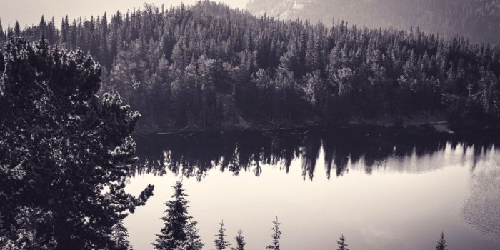 1488x943 Dark Nature Wallpaper Background | Desktop Wallpapers