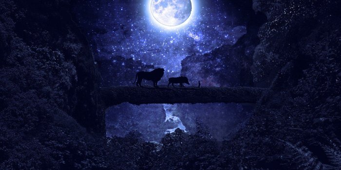 1366x768 wallpaper for desktop, laptop | as72-lionking-disney-night-art