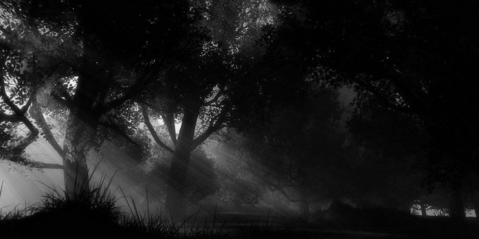 1599x1140 35+ Black Nature Wallpapers - Download at WallpaperBro