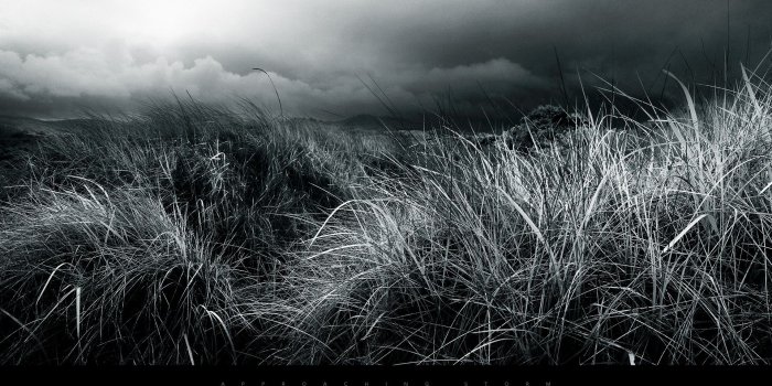 1920x1080 abstract, black and white, nature, fields :: Wallpapers