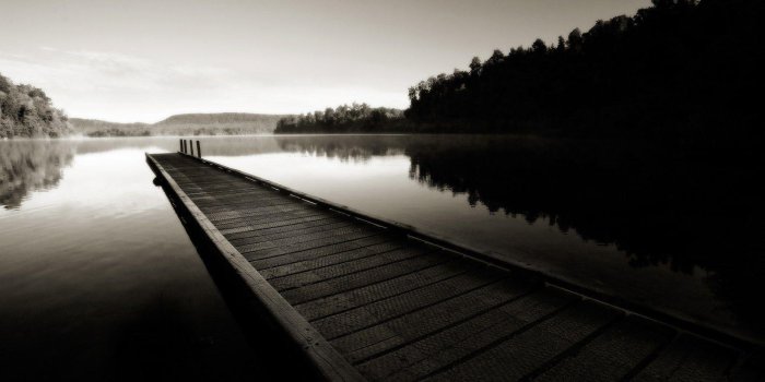 1920x1200 Black And White Nature Wallpapers