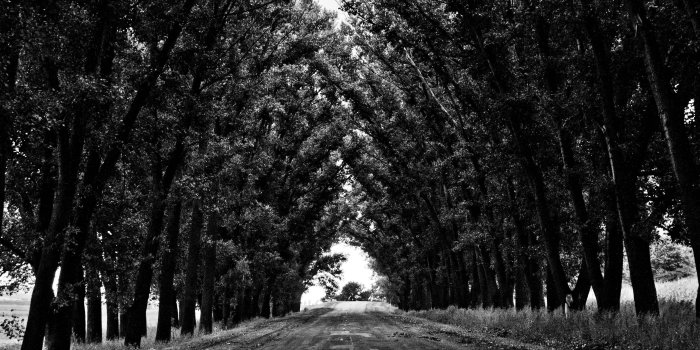 4272x2848 2941896 black white nature park wallpaper and background | Nature
