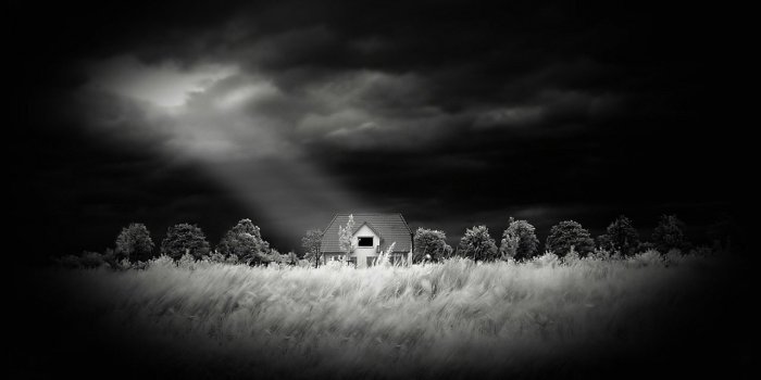 1280x1024 White and Black Wallpapers: Nature Black and White Wallpaper