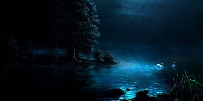 1244x700 Nature art painting night light moon lake swans black background