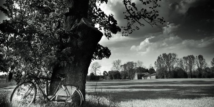 1920x1080 55+ Black and White Nature iPhone Wallpapers - Download at WallpaperBro