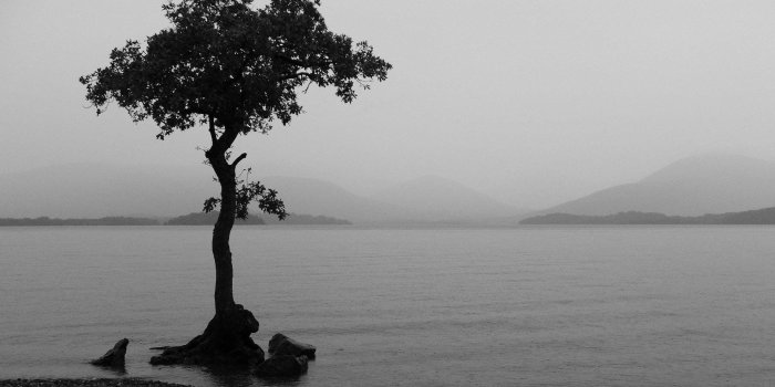 1920x1200 Black and White Nature Wallpaper (the best 67+ images in 2018)