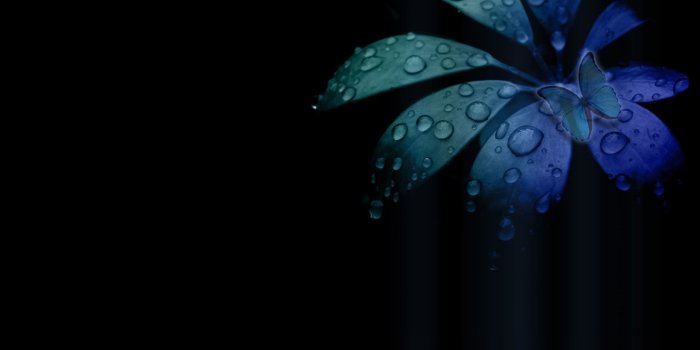 2560x1600 Download Dark Nature Wallpaper Hd (53) - mariacenoura.pt