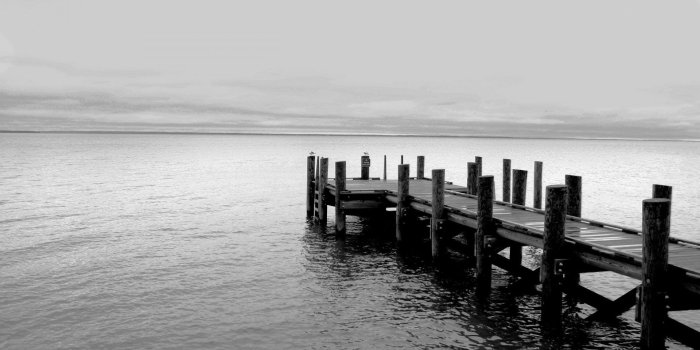 1920x1080 Black And White Nature Wallpaper - Anband HD Pictures