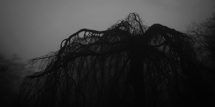1920x1080 Dark Nature Wallpapers (94+ images in Collection) Page 1