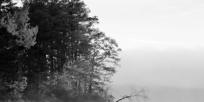 1600x1200 29 black and white nature wallpaper