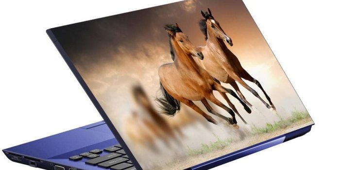 1075x800 Ramiya- running horse wallpaper hd - skin for laptop of 14 inch of