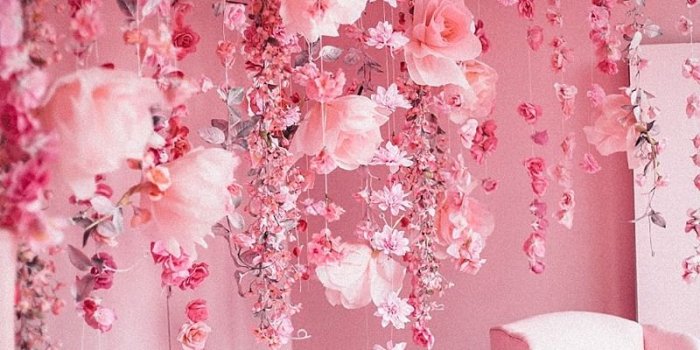 800x1200 Aesthetic Pink Room Decor Free Wallpaper & Backgrounds