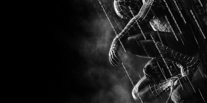 1280x960 Black Spider-Man Wallpapers