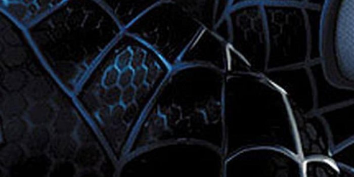 1242x2208 Black Spiderman | Download Wallpapers