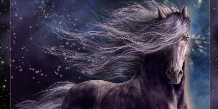 1280x800 Beautiful Horse - Horses Wallpaper (22410549) - Fanpop