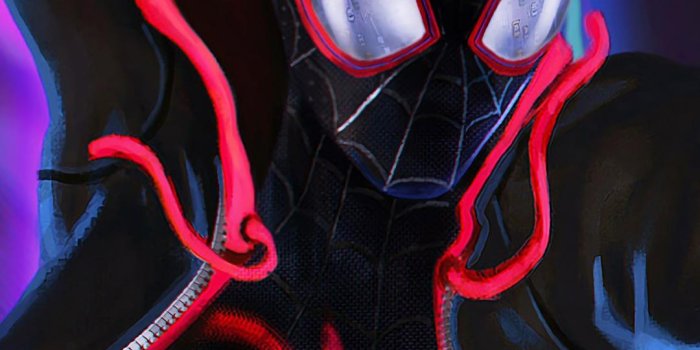 1080x1920 Black Spider-Man, Into the Spider-verse HD wallpaper download