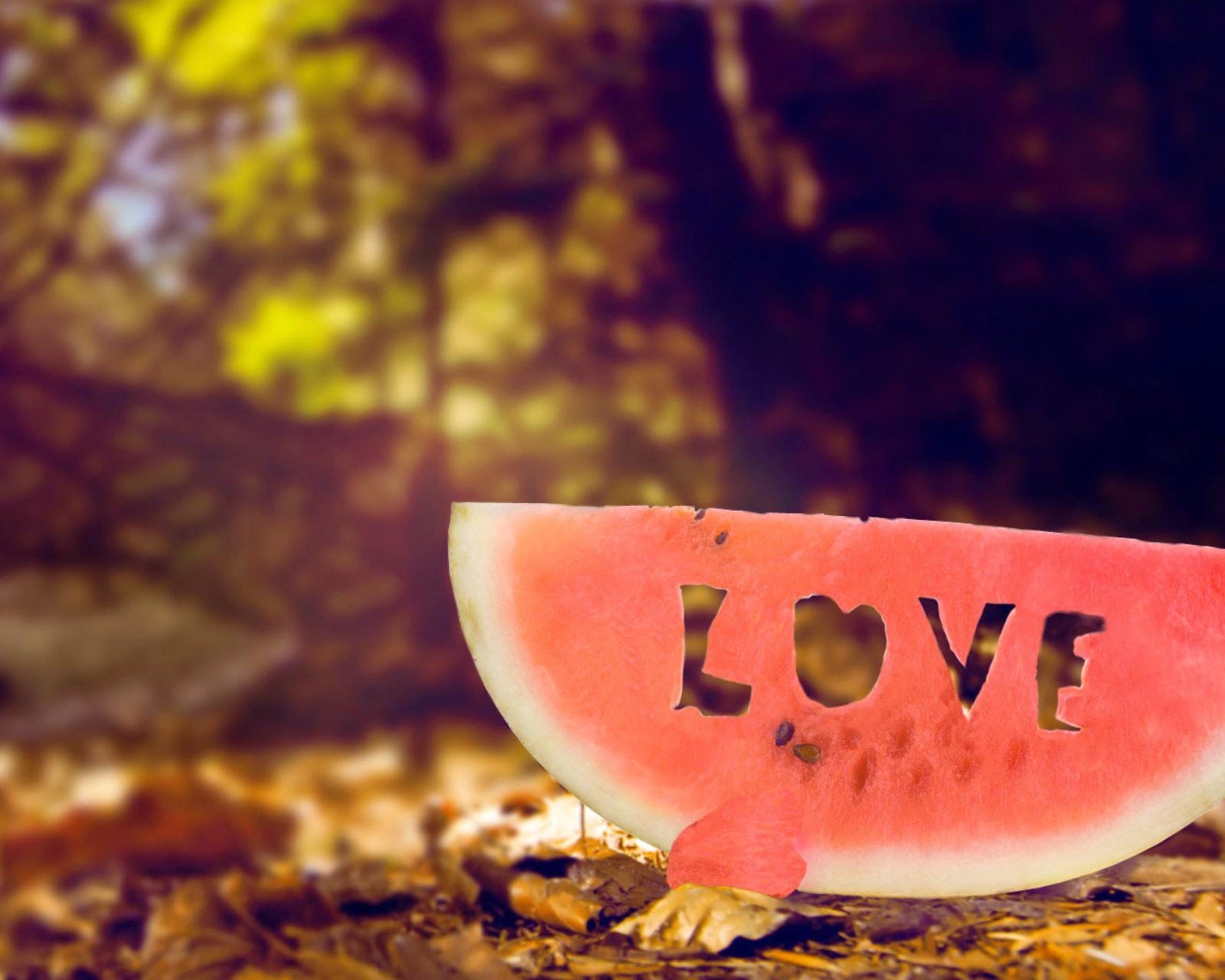 1600x1280 44 Love Hd Wallpapers And Beautiful Hd Pictures Download - TOP HD