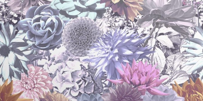 1000x1346 Floral Concept - Bold Twilight Wallpaper