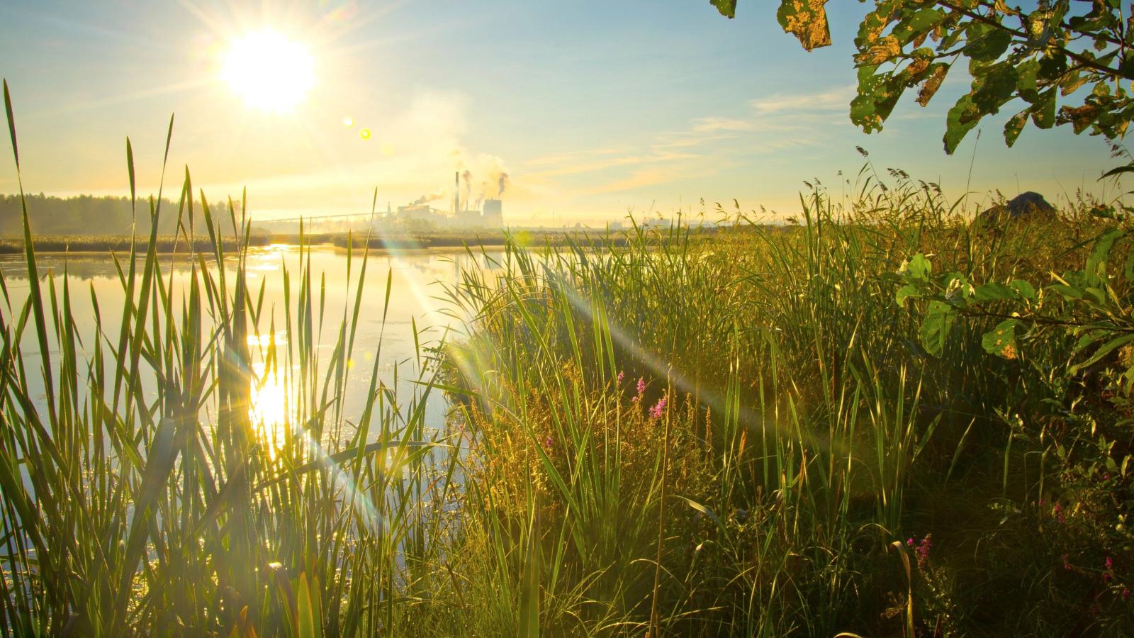 3840x2160 High Definition, UltraHD, Sky, HDr, Plants, Leaves, Mac Wallpaper