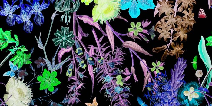 1000x1000 FLORAL FANTASY - BOLD DARK WALLPAPER
