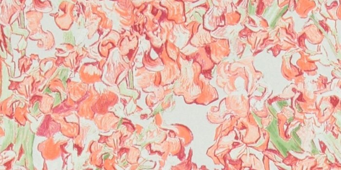 1100x1100 Bold Floral Red Iris Flowers R2793