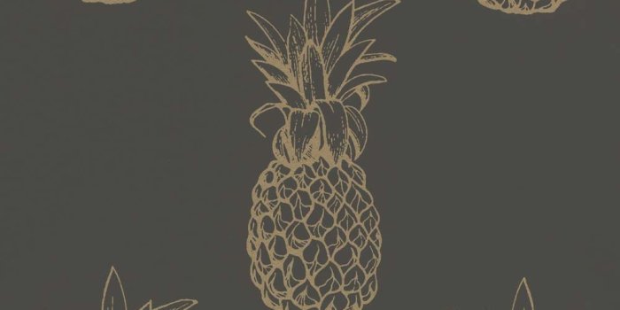 1000x1000 Wallpaper Pineapple Tropical black gold Gloss Rasch Textil 289694