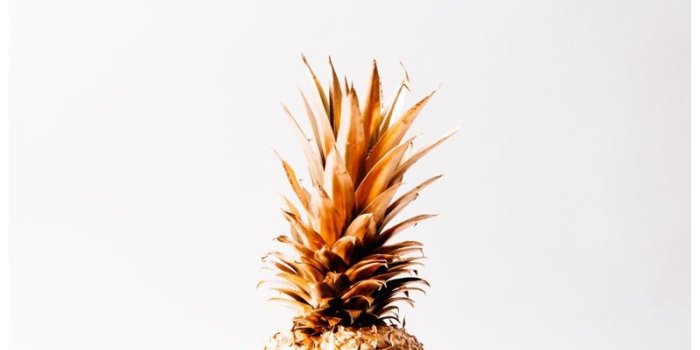 800x1190 Golden pineapple | a r t s y | Pineapple wallpaper, Pineapple, Gold