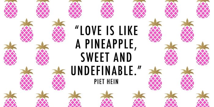 1600x900 Pink Pineapple Wallpaper - Pineapple Wallpaper Iphone With Quote