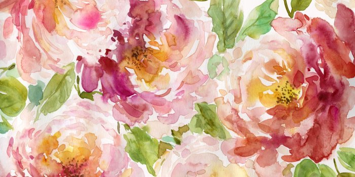 2000x1500 Bold and Beautiful Floral