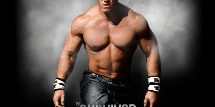 1024x768 Wrestlers Wallpapers