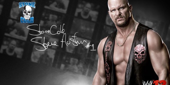 1024x768 Steve Austin - Wwe '12 - Wwe Stone Cold Hd (#977607) - HD Wallpaper