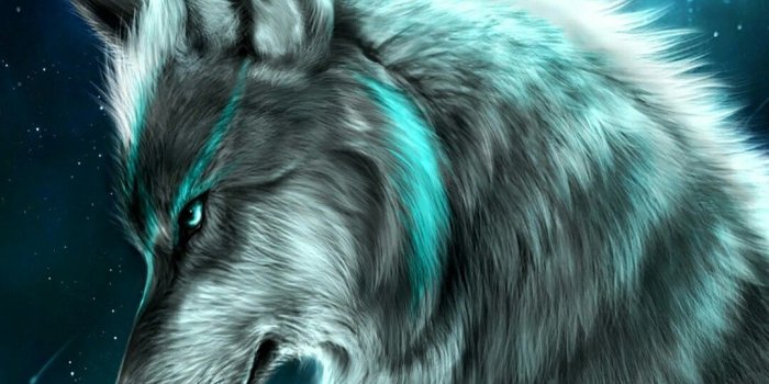 1080x1920 Spirit Wolf Wallpapers - Top Free Spirit Wolf Backgrounds