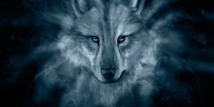 1032x774 Spirit Wolf Wallpapers - Top Free Spirit Wolf Backgrounds