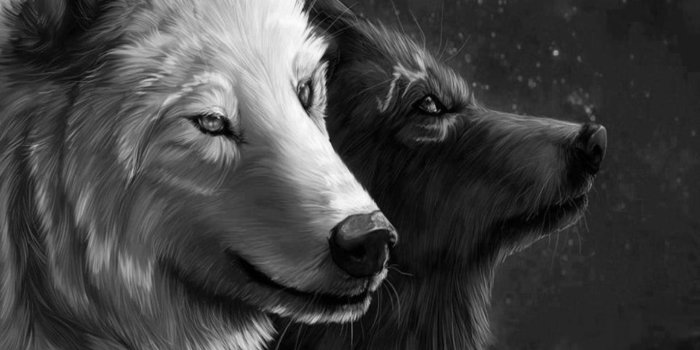 1440x1280 spirit wolves - Wolf lovers place Wallpaper (41583898) - Fanpop