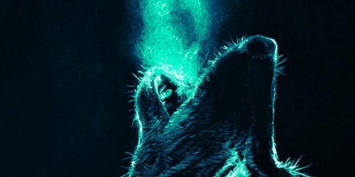 1080x2220 Fantasy Wolf Wallpaper (76+ images)