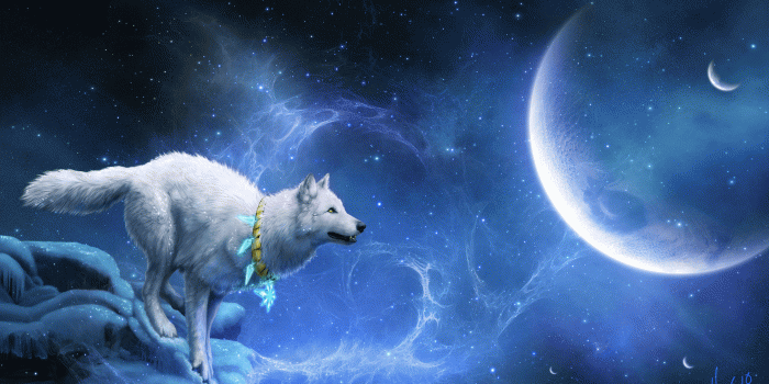 2780x1769 159 Wolf HD Wallpapers | Background Images
