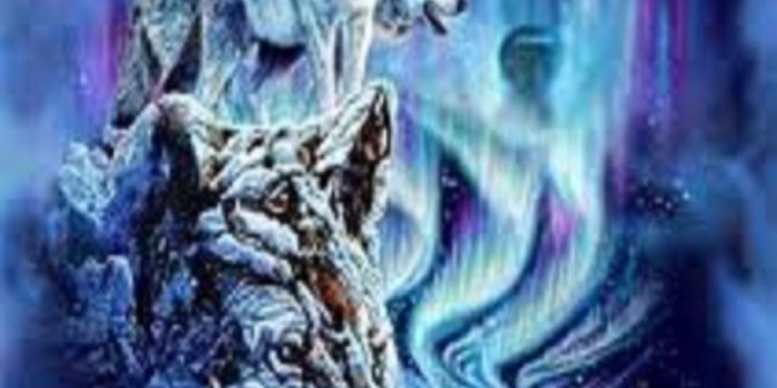 1200x1600 Spirit Animal Wallpapers