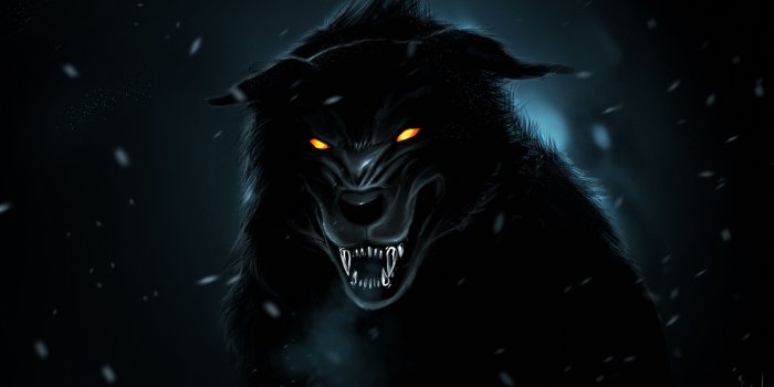 4152x2561 Black Wolf Wallpapers High Quality | Download Free