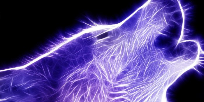 1920x1200 Fire Wolf Wallpaper (29+ images) on Genchi.info