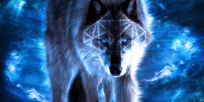 999x799 Blue Wolf Wallpaper Group (52+), Download for free