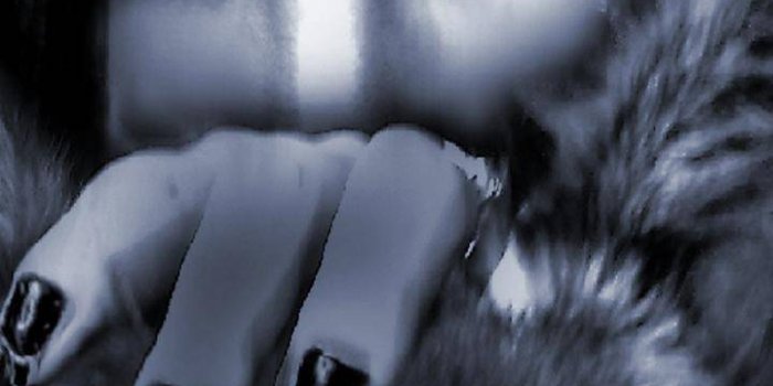 720x1280 Spirit Wolf Wallpaper by mamawolf509 - a5 - Free on ZEDGE™