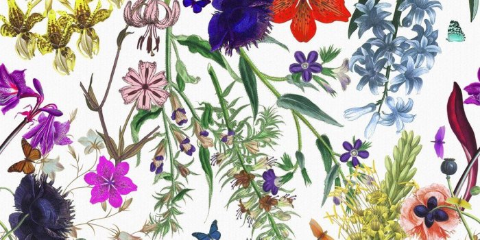 1000x1000 FLORAL FANTASY GRASSCLOTH WALLPAPER
